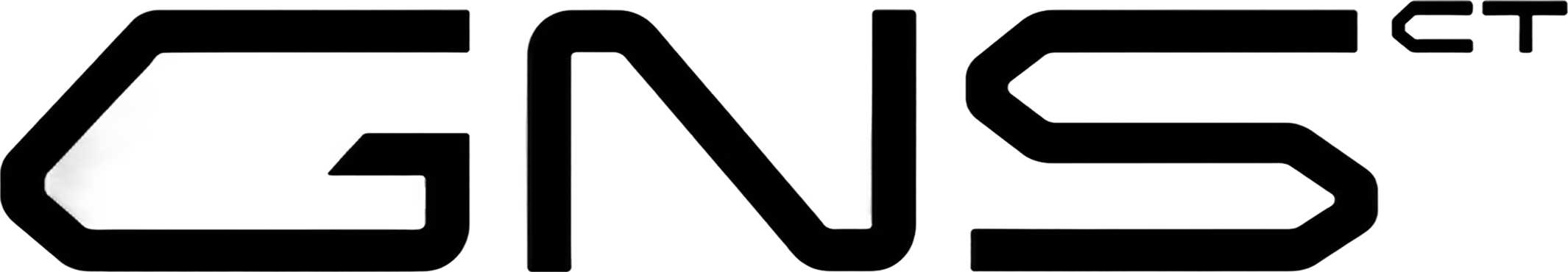 GNS Logo